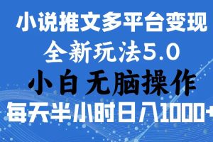 2024年6月份一件分发加持小说推文暴力玩法 新手小白无脑操作日入1000+ …