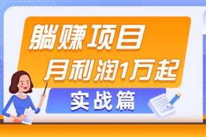 躺赚副业项目，月利润1万起，当天见收益，实战篇