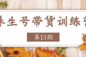 养生号-带货训练营【第13期】收益更稳定的玩法，让你带货收益爆炸