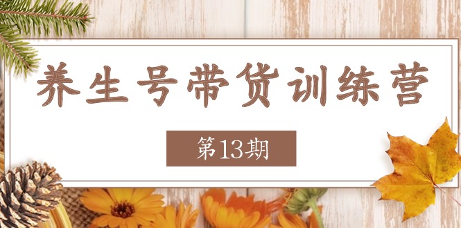 养生号-带货训练营【第13期】收益更稳定的玩法，让你带货收益爆炸插图