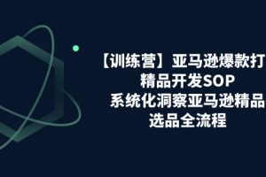 【训练营】亚马逊爆款打造之精品开发SOP，系统化洞察亚马逊精品选品全流程