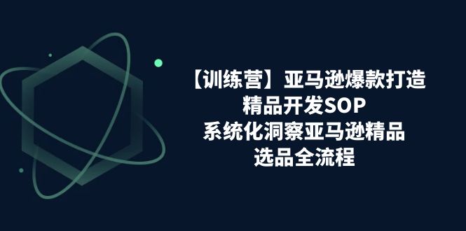 【训练营】亚马逊爆款打造之精品开发SOP，系统化洞察亚马逊精品选品全流程插图