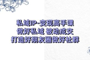 私域IP-变现高手课：做好私域 被动成交，打造好朋友圈做好社群（18节）