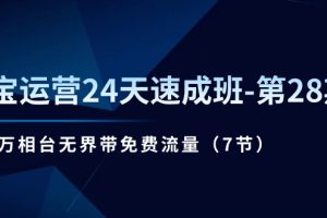 淘宝运营24天速成班-第28期：最新万相台无界带免费流量（7节）