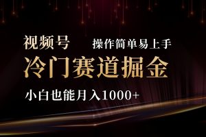 2024视频号三国冷门赛道掘金，操作简单轻松上手，小白也能月入1000+