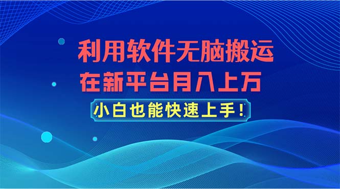 利用软件无脑搬运，在新平台月入上万，小白也能快速上手插图