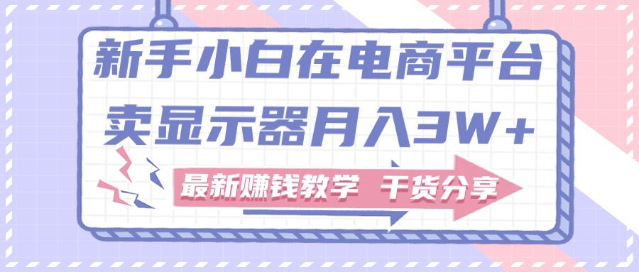 新手小白如何做到在电商平台卖显示器月入3W+，最新赚钱教学干货分享插图