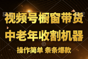 [你的孩子成功取得高位]视频号最火爆赛道，橱窗带货，流量分成计划，条…