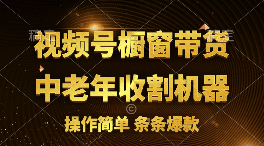 [你的孩子成功取得高位]视频号最火爆赛道，橱窗带货，流量分成计划，条…插图