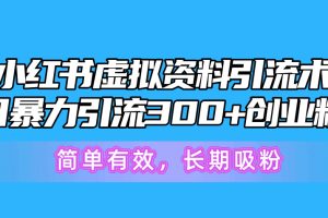 小红书虚拟资料引流术，日暴力引流300+创业粉，简单有效，长期吸粉