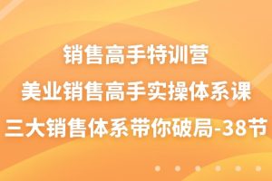 销售-高手特训营，美业-销售高手实操体系课，三大销售体系带你破局-38节