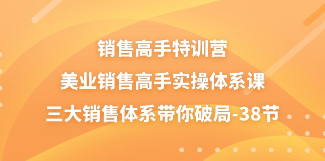 销售-高手特训营，美业-销售高手实操体系课，三大销售体系带你破局-38节插图