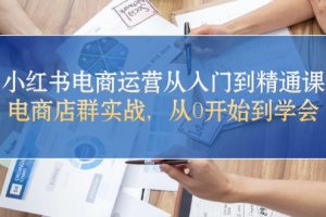 小红书电商运营从入门到精通课，电商店群实战，从0开始到学会