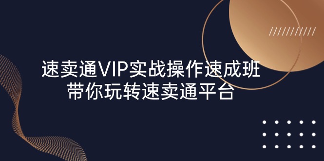 速卖通 VIP实战操作-速成班，带你玩转速卖通平台（23节）插图