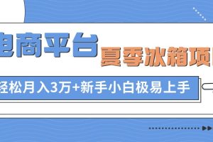 电商平台夏季冰箱项目，轻松月入3万+，新手小白极易上手