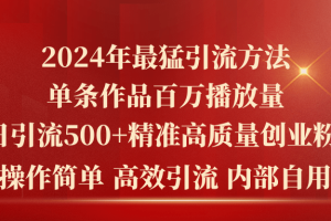 2024年最猛暴力引流方法，单条作品百万播放 单日引流500+高质量精准创业粉