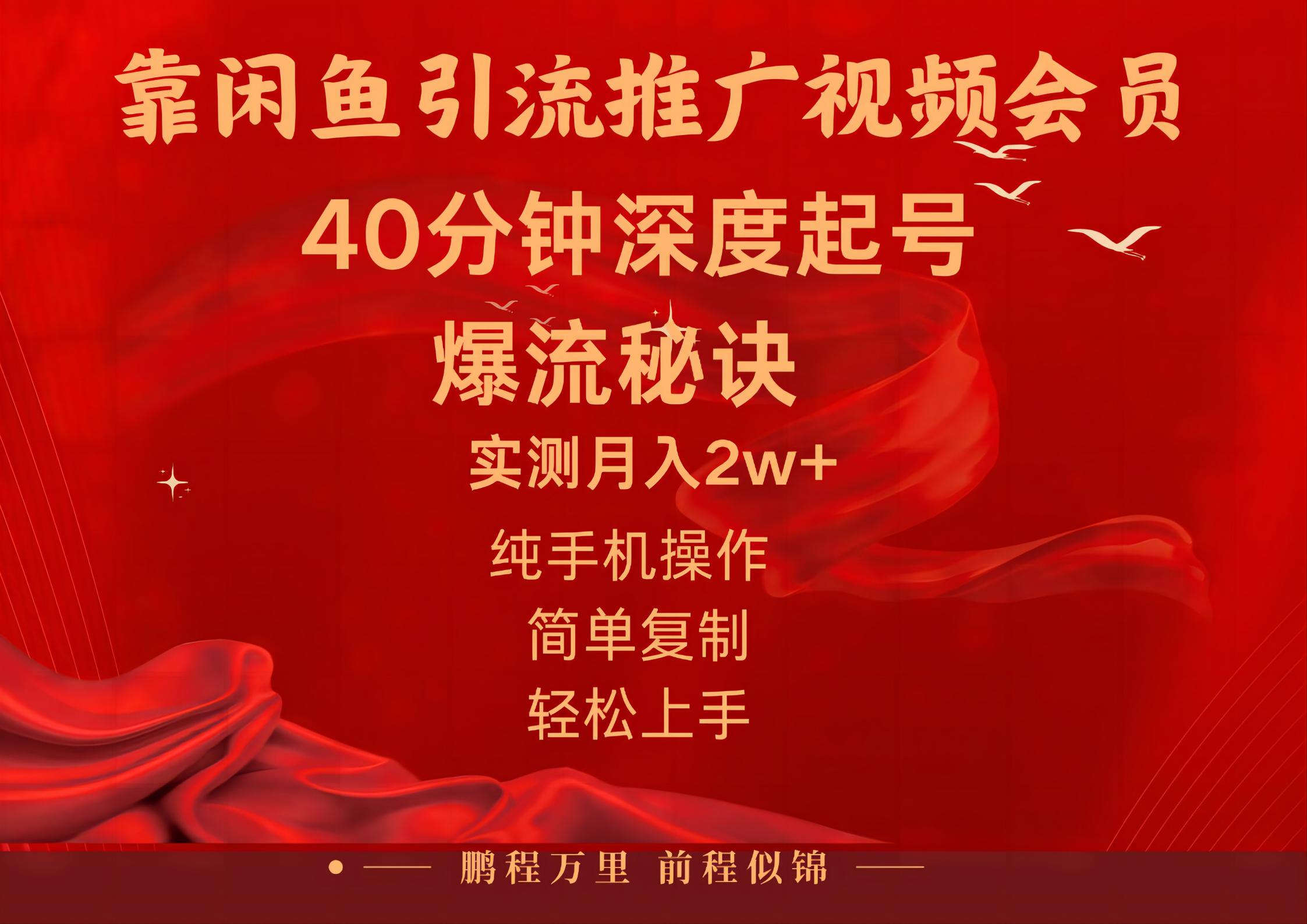 闲鱼暴力引流推广视频会员，能做到日入2W+，操作简单插图