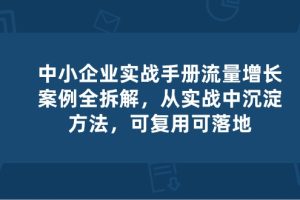 中小 企业 实操手册-流量增长案例拆解，从实操中沉淀方法，可复用可落地