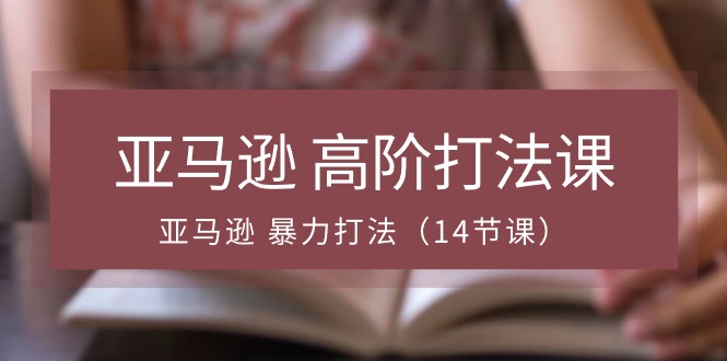 亚马逊 高阶打法课，亚马逊 暴力打法（14节课）插图