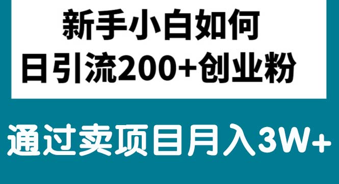 新手小白日引流200+创业粉,通过卖项目月入3W+插图