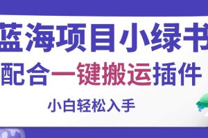 蓝海项目小绿书，配合一键搬运插件，小白轻松入手