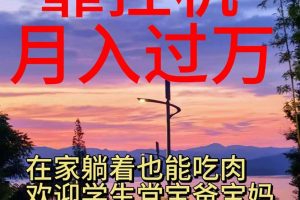 靠挂机，日入1000+，躺着也能吃肉，适合宝爸宝妈学生党工作室，电脑手…