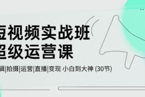 短视频实战班-超级运营课，|剪辑|拍摄|运营|直播|变现 小白到大神 (30节)