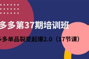 拼多多第37期培训班：拼多多单品裂变起爆2.0（17节课）