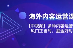 海外内容 运营课【中视频】多种内容运营玩法 风口正当时 掘金好时机-101节