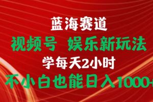 蓝海赛道视频号 娱乐新玩法每天2小时小白也能日入1000+