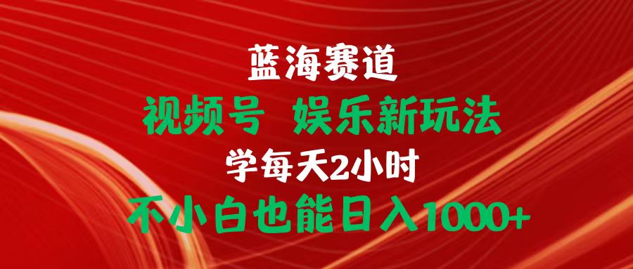 蓝海赛道视频号 娱乐新玩法每天2小时小白也能日入1000+插图