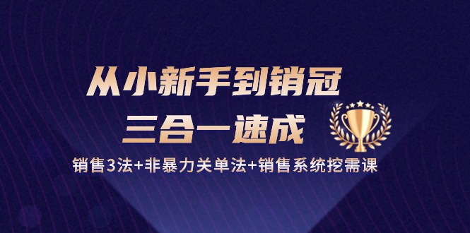 从小新手到销冠 三合一速成：销售3法+非暴力关单法+销售系统挖需课 (27节)插图