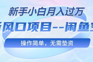 最新风口项目—闲鱼空调，新手小白月入过万，操作简单，无需垫资