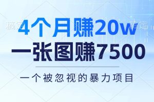 4个月赚20万！一张图赚7500！多种变现方式，一个被忽视的暴力项目