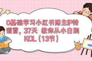 0基础学习小红书博主IP特训营，37天 教你从小白到KOL（13节）