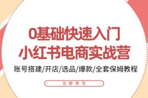 0基础快速入门-小红书电商实战营：账号搭建/开店/选品/爆款/全套保姆教程