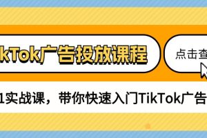 TikTok广告投放课程，从0-1实战课，带你快速入门TikTok广告投放（30节课）