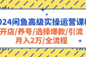 2024闲鱼高级实操运营课程：开店/养号/选择爆款/引流/月入2万/全流程