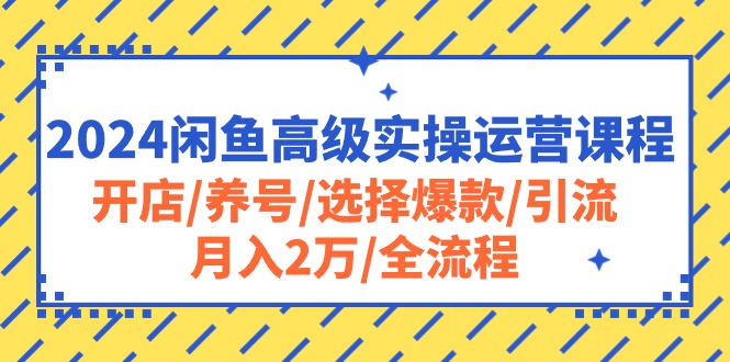 2024闲鱼高级实操运营课程：开店/养号/选择爆款/引流/月入2万/全流程插图