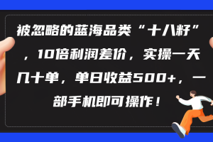 被忽略的蓝海品类“十八籽”，10倍利润差价，实操一天几十单 单日收益500+