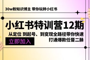 小红书特训营12期：从定位 到起号、到变现全路径带你快速打通爆款任督二脉