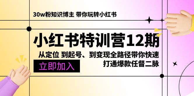 小红书特训营12期：从定位 到起号、到变现全路径带你快速打通爆款任督二脉插图