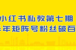 (10650期）小红书-私教第七期，小红书90天涨粉18w，1周涨粉破万 半年矩阵号粉丝破百万