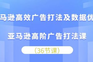 亚马逊高效广告打法及数据优化，亚马逊高阶广告打法课