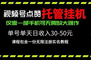 视频号点赞托管挂机，单号单天利润30~50，一部手机无限放大（附带无限…