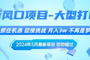 2024年5月最新风口项目，抓住机遇，迎接挑战，月入3w+，不再是梦