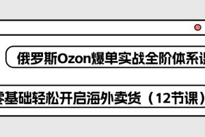 俄罗斯 Ozon-爆单实战全阶体系课，零基础轻松开启海外卖货（12节课）