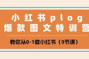 小红书 plog爆款图文特训营，教你从0-1做小红书（9节课）