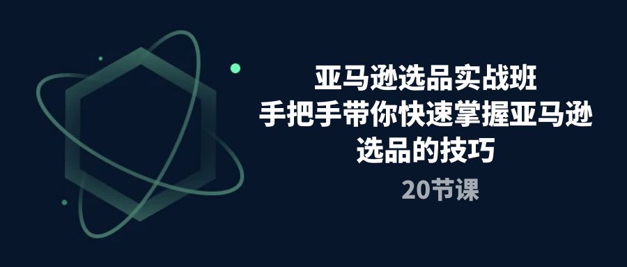 亚马逊选品实战班，手把手带你快速掌握亚马逊选品的技巧（20节课）插图