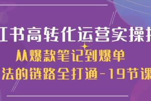 小红书-高转化运营 实操指南，从爆款笔记到爆单玩法的链路全打通-19节课